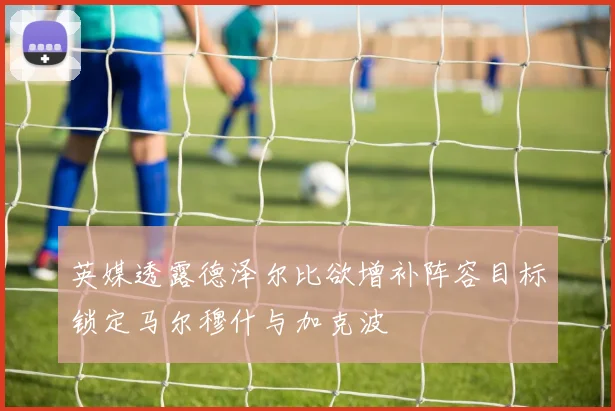 英媒透露德泽尔比欲增补阵容目标锁定马尔穆什与加克波